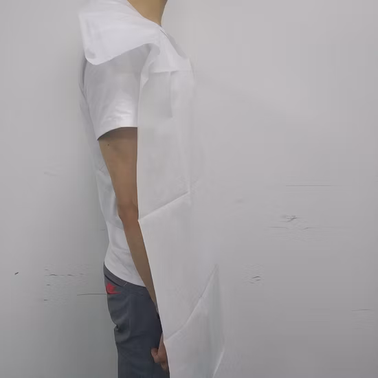 OEM Medical Long Size Bibs Dental Disposable Apron for Patients